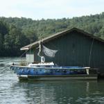 "Ship of Fools" at Lake Burton