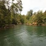 Cove as seen from boathouse