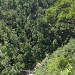 Suspension bridge over Tallulah River at Tallulah Gorge State Park