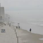 Port Orange beach on misty morning, note speed limit sign for vehicles sharing beach with people and birds