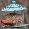 Cardinal