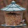 Chickadee